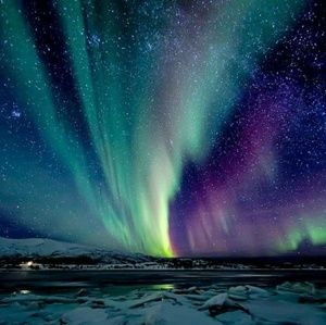 Meet your Posher, Edsell